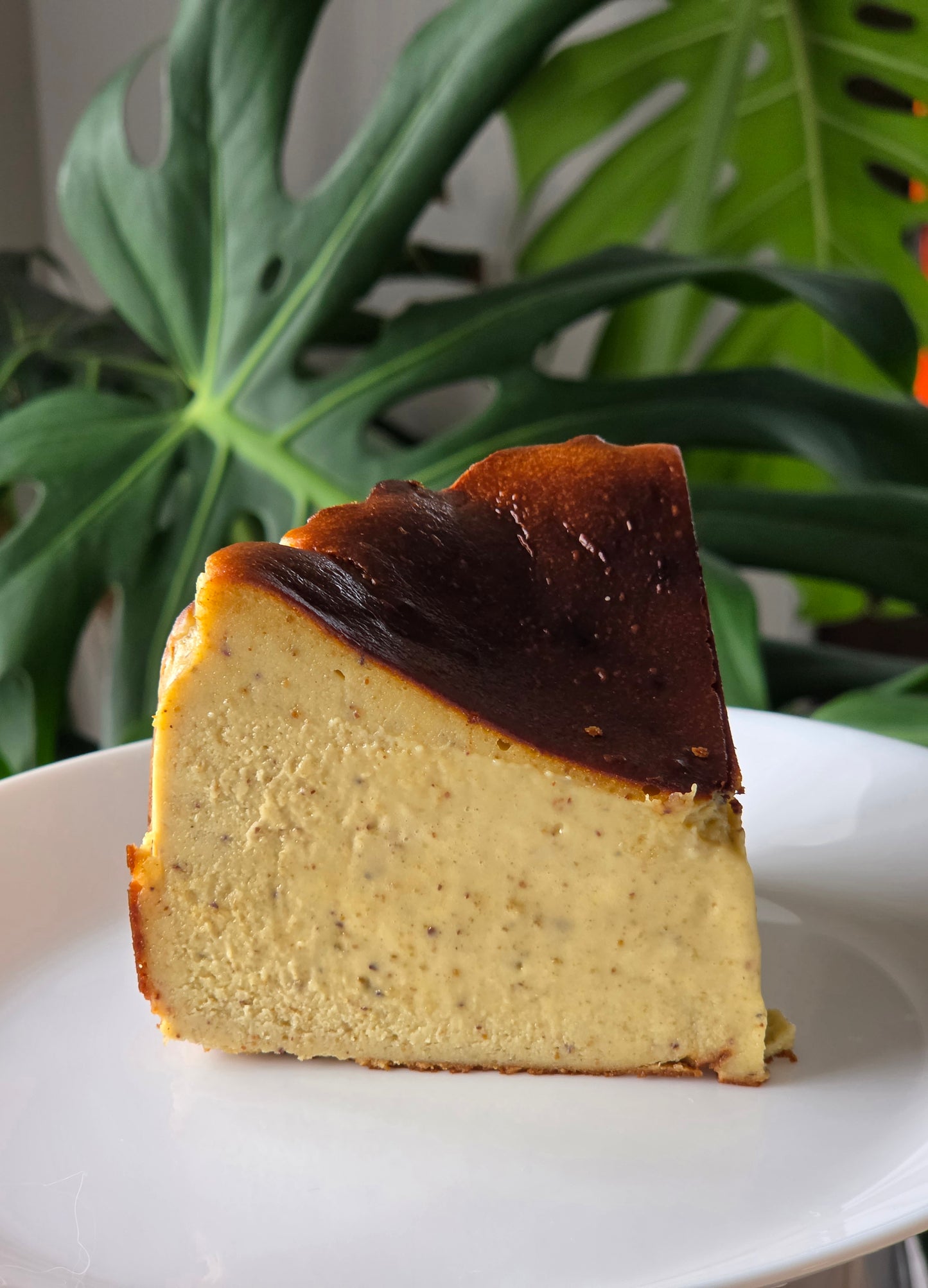 Pistachio Basque Cheesecake - made with 100% real Pistachio (NEW)